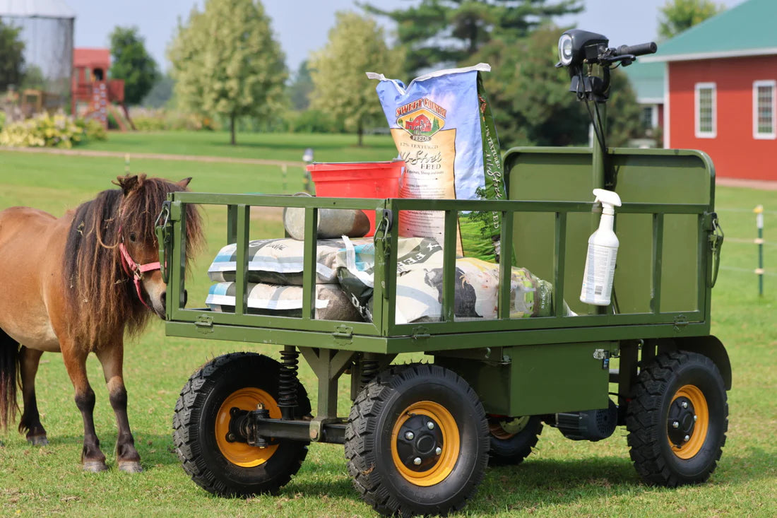 Loom Electric Utility Cart